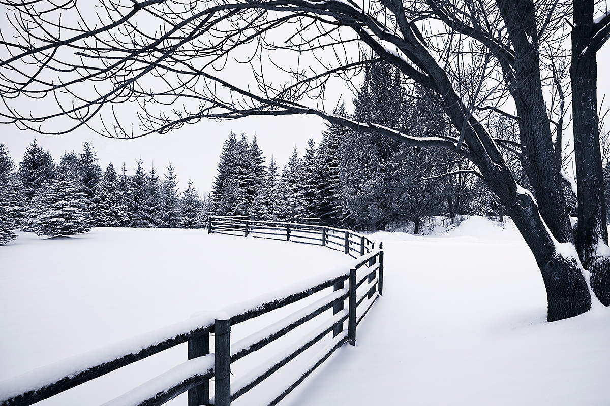 Winter Quiet