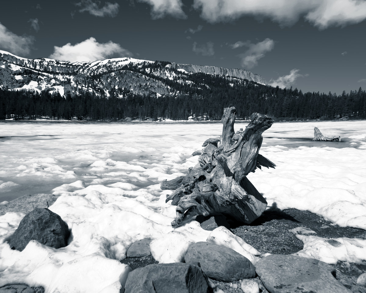 Lake Mary Frozen-