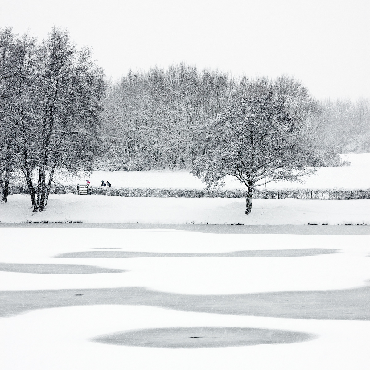 Frozen Lake