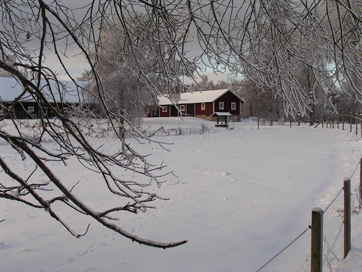 Winter in Sweden