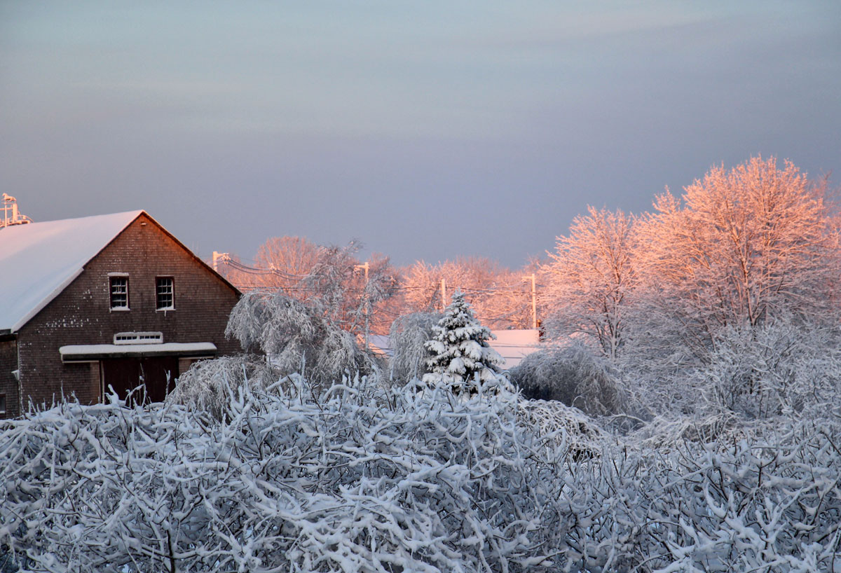 Winter pink sunrise