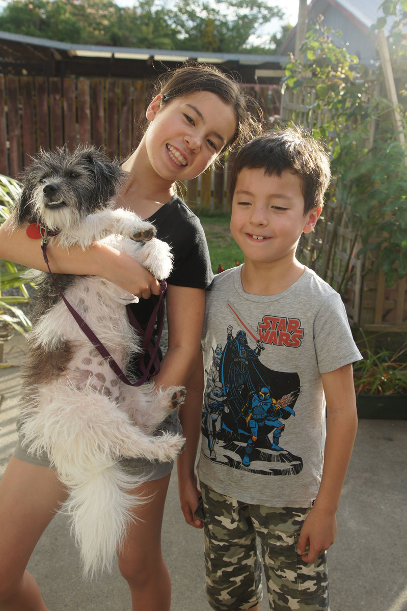 Hey Grandad, we Washed the dog, but the cat escaped !!