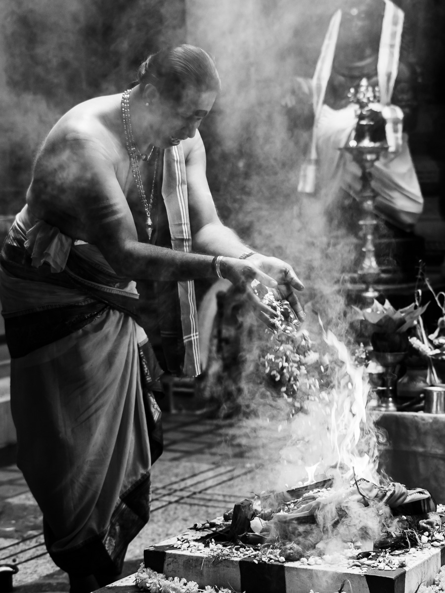 The offering