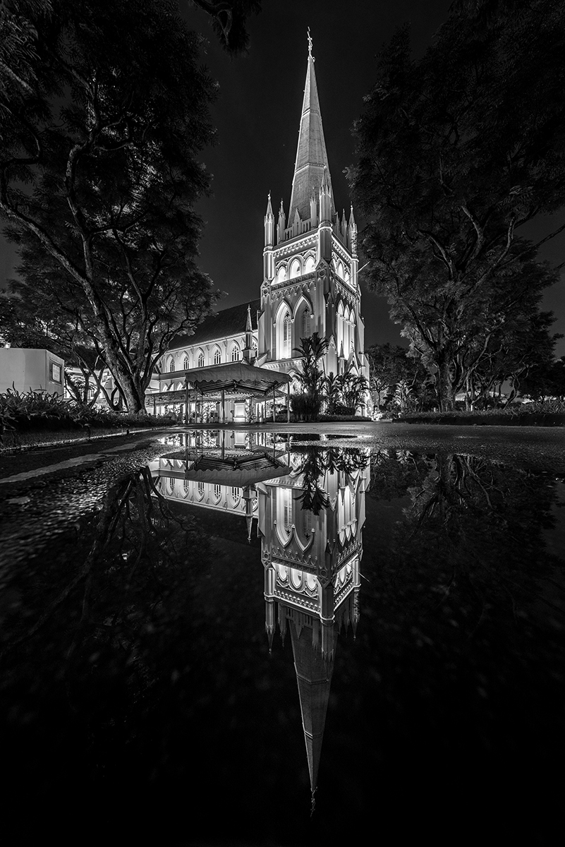 The Cathedral 