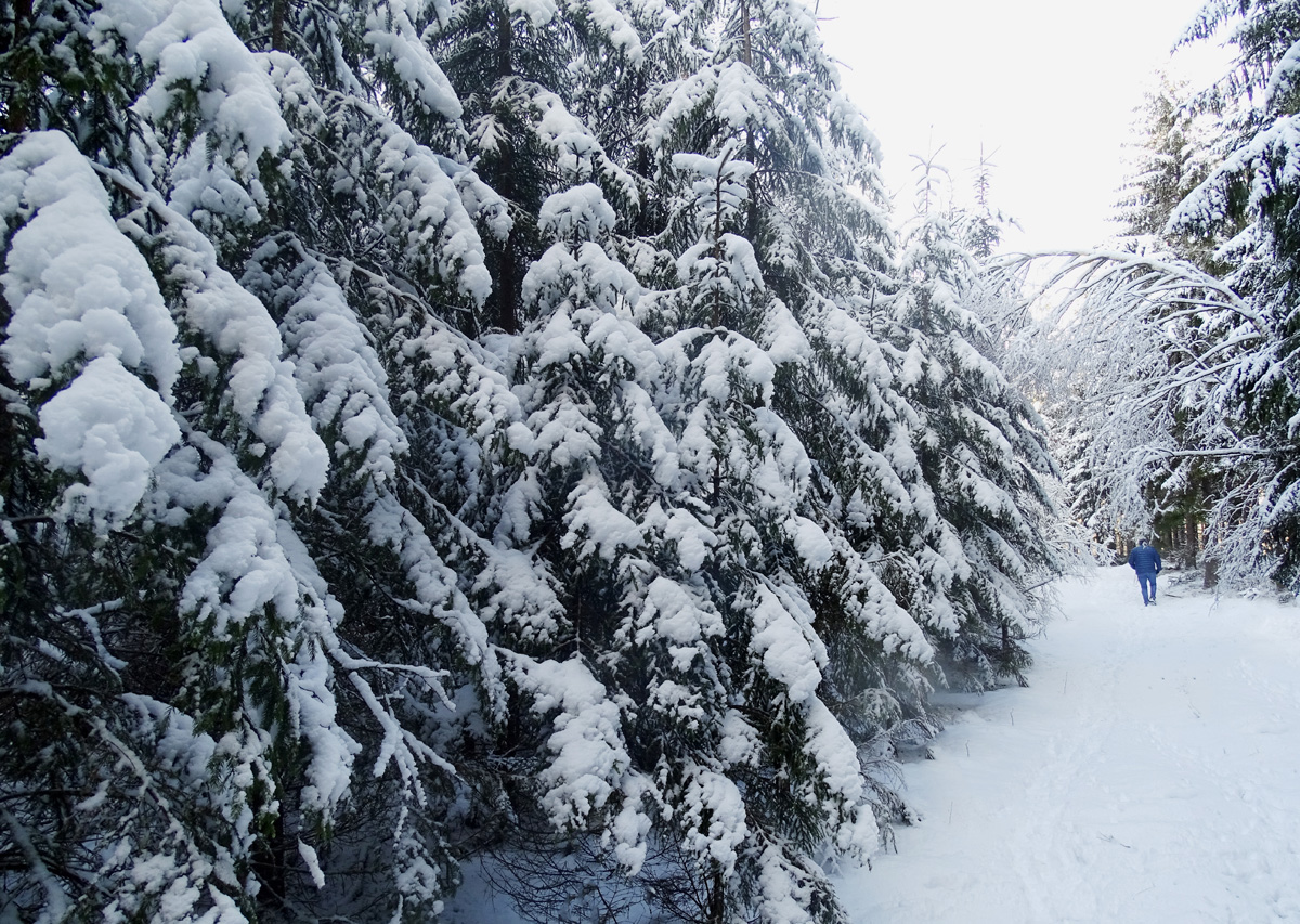 Winter 