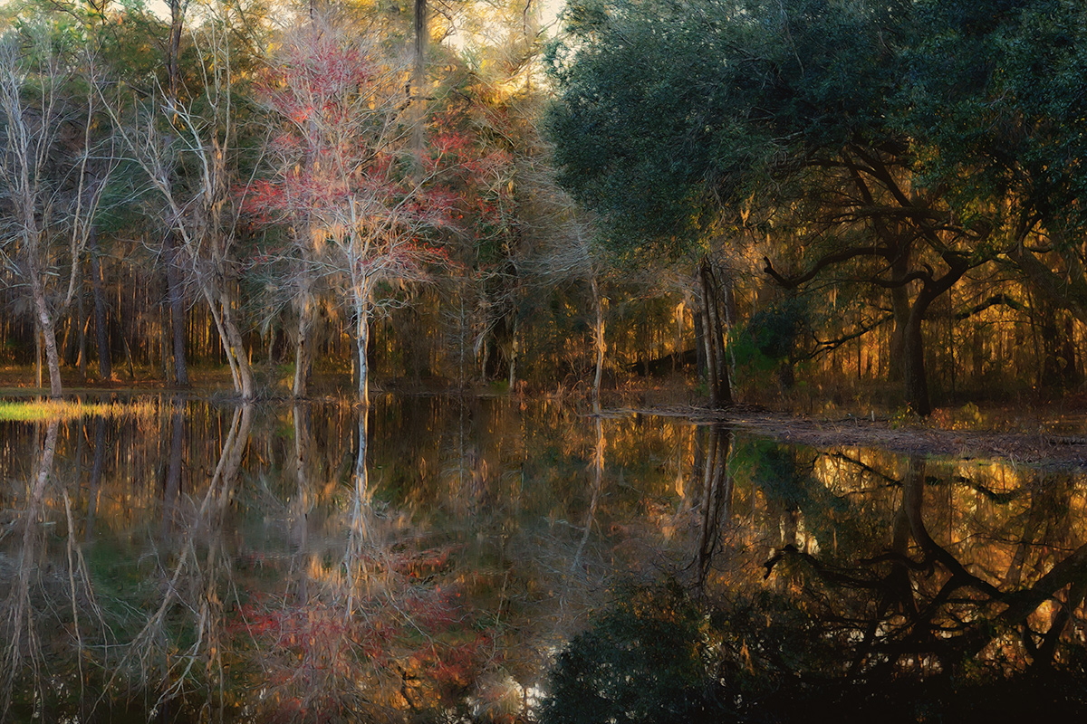 Evening Glow