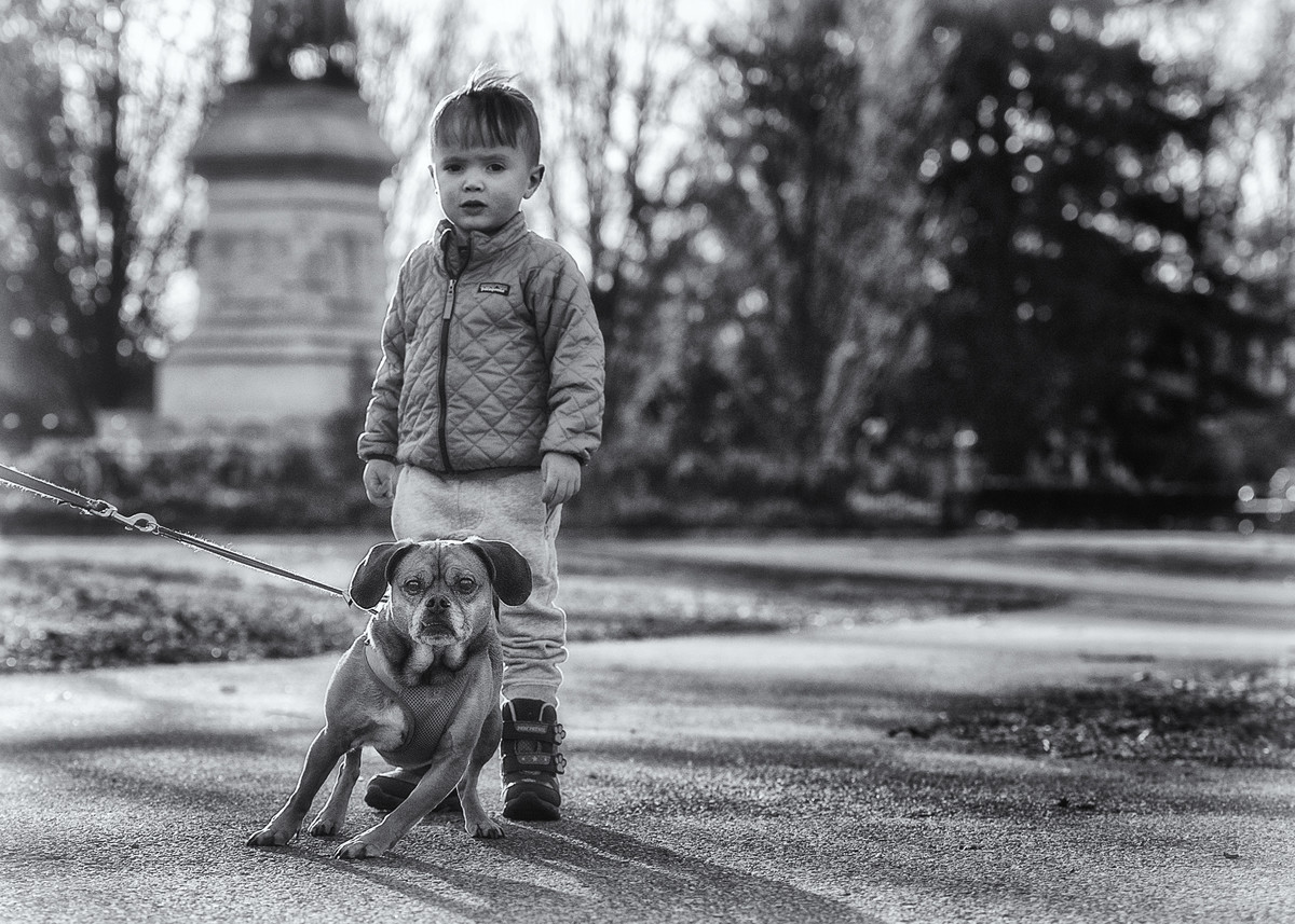 Guard Puppy