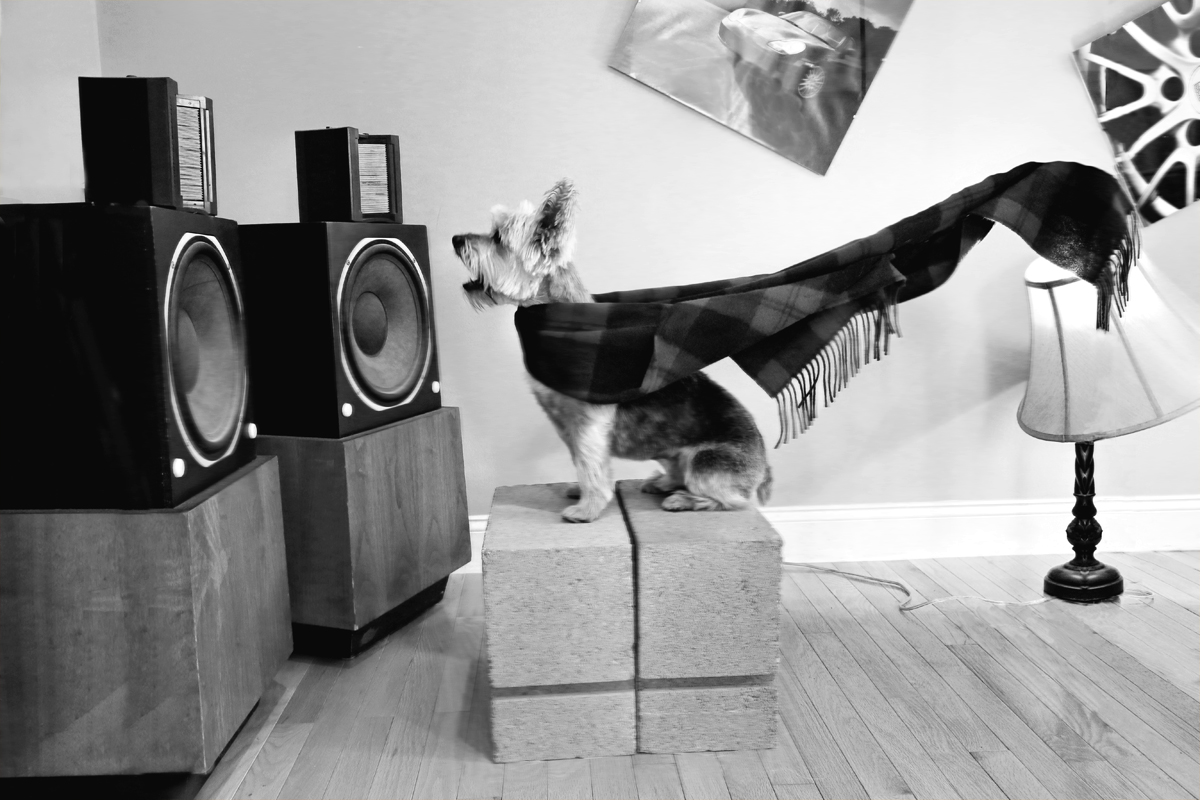 I like it LOUD!