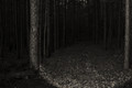 As Darkness Falls