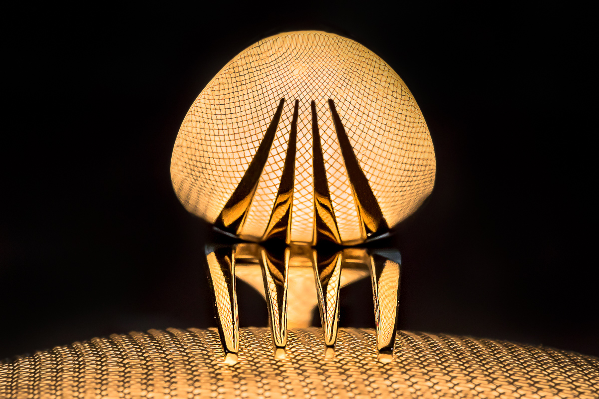 Born with golden spoon