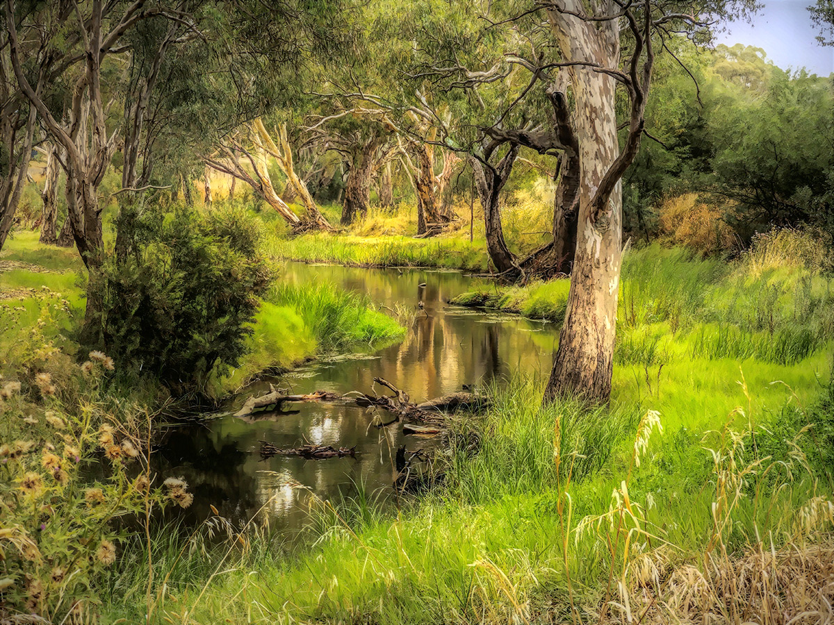 Tullaroop Creek