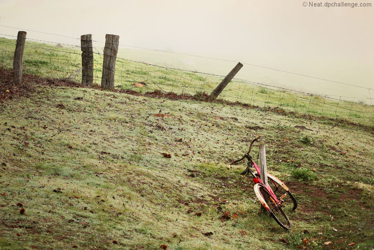 The bike at the bottom of the hill