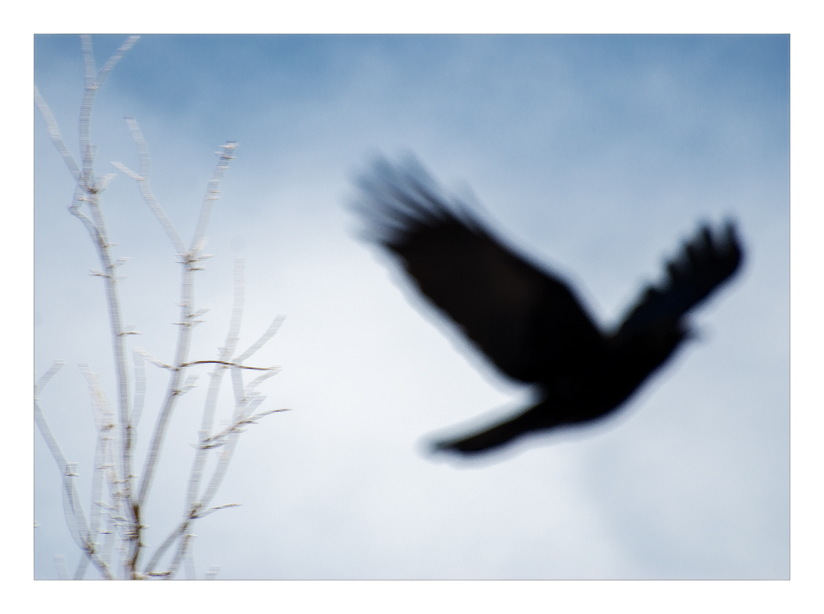 flying high