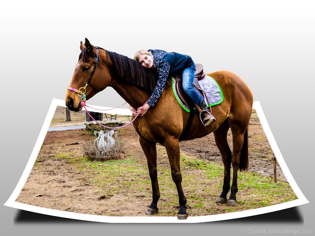 A Girl and Her Horse