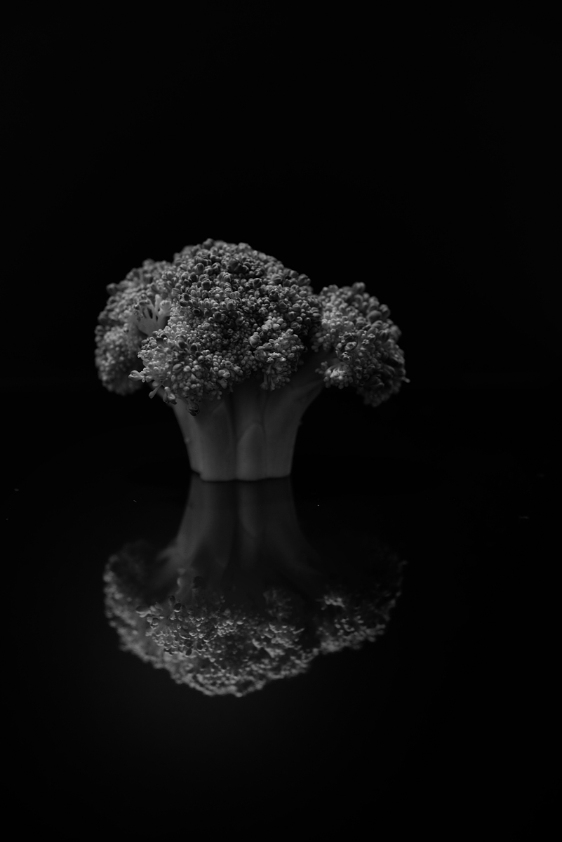 The Brocolli Tree