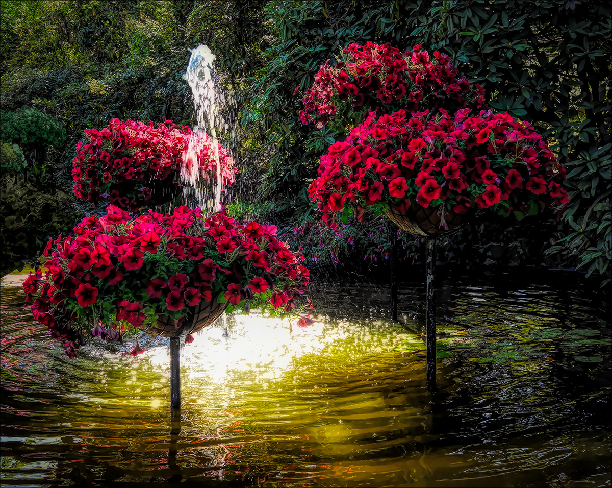 Petunia Trees