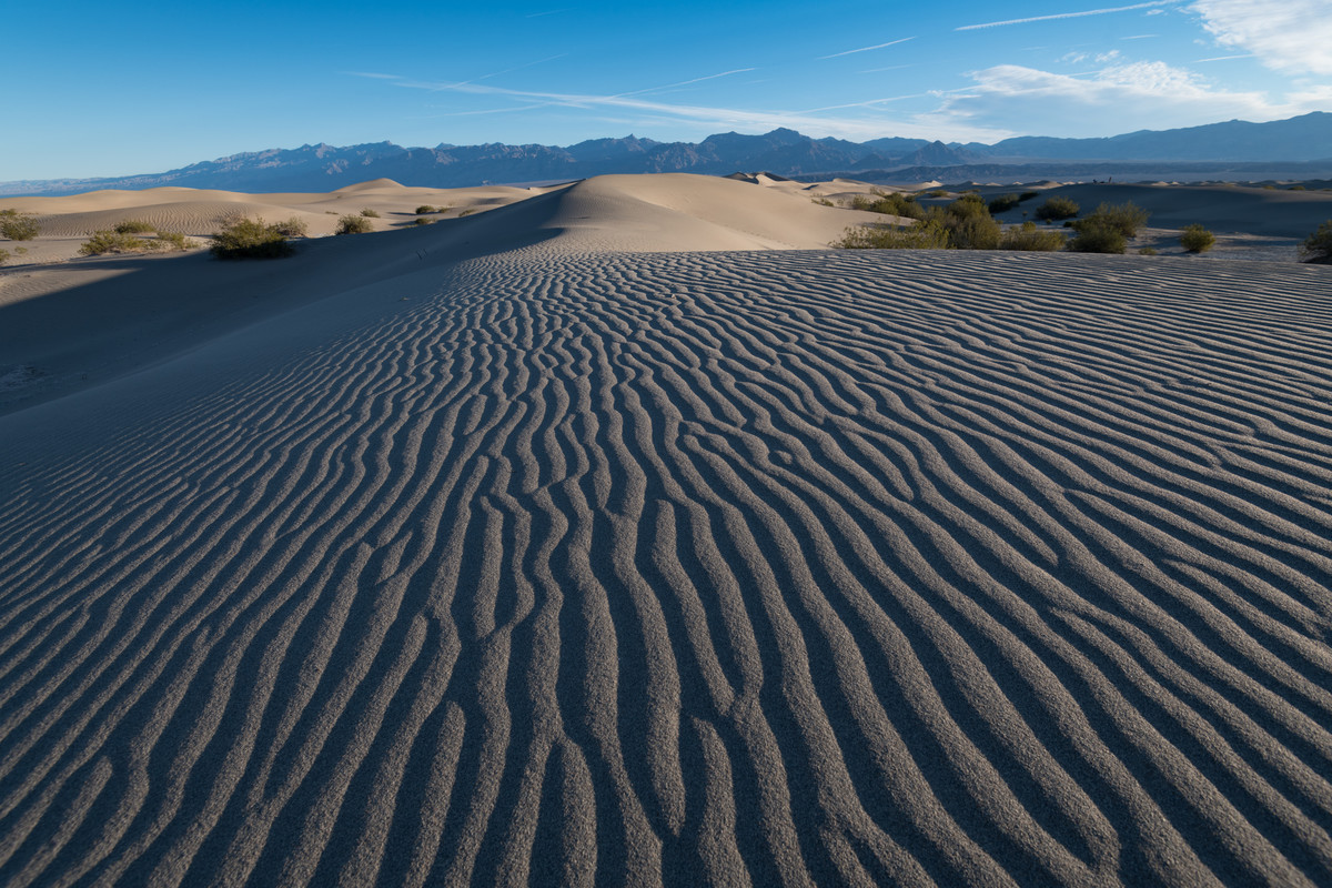 Mesquite Dune Patterns-432