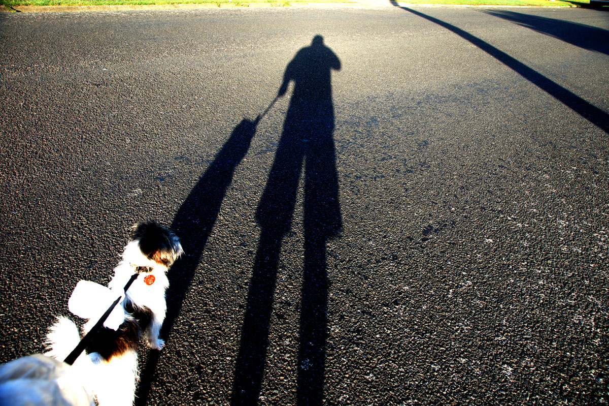 DSC00011  Early Morning Walking the Dog