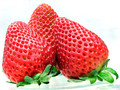 Winter Strawberries