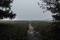 Sometimes the Path Ahead is Unknown