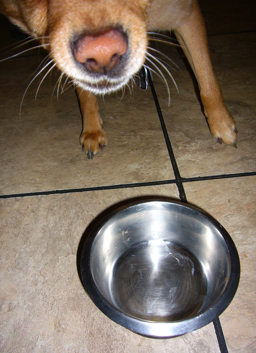 My bowl is empty