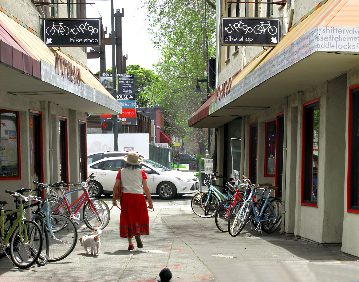 Bicycles Galore