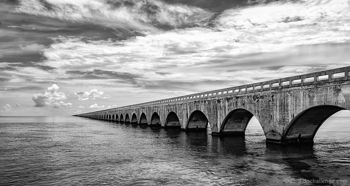 •  e  n  d  l  e  s  s  •