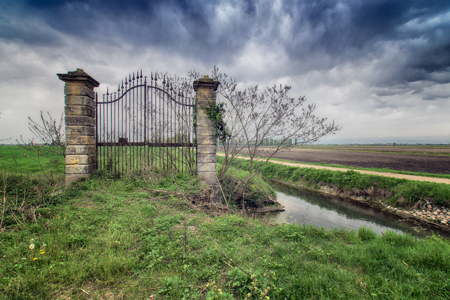 The gate
