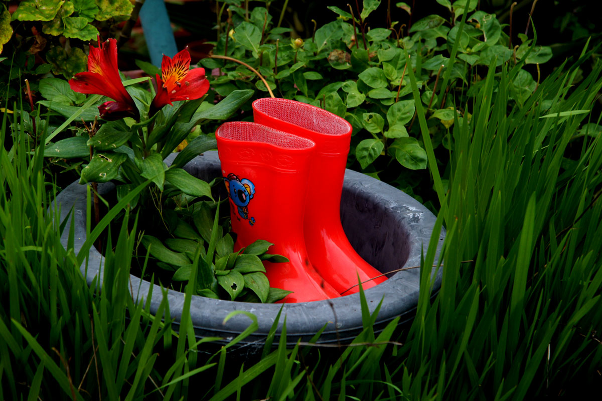  Boots for small gardens !!!!