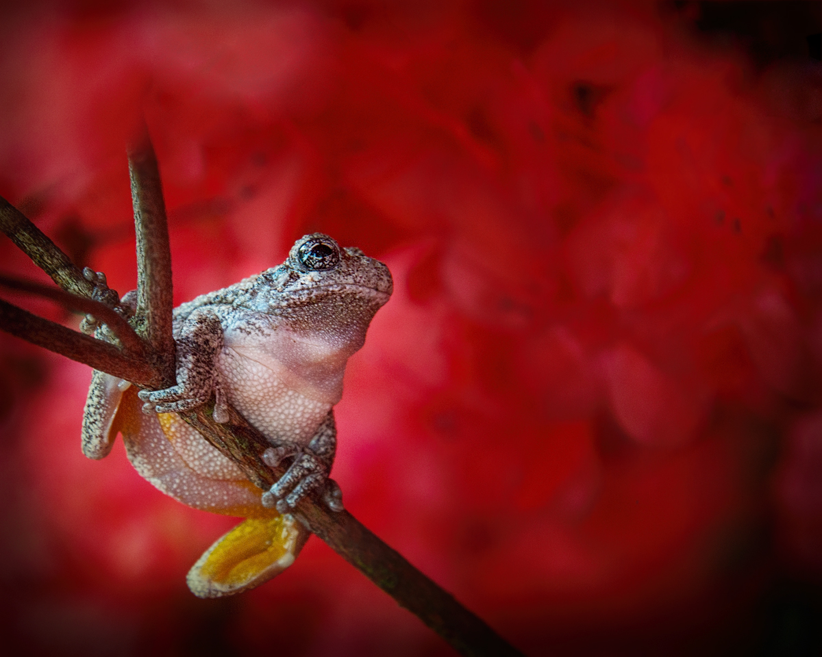 Just Hanging Around