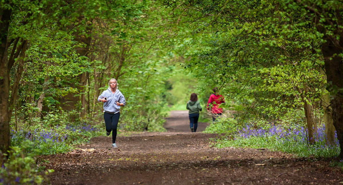 Running Through the Wood