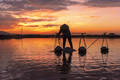 Nature friendly traditional Salt farming