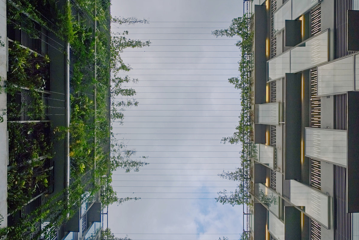 Coexistence: plants and buildings