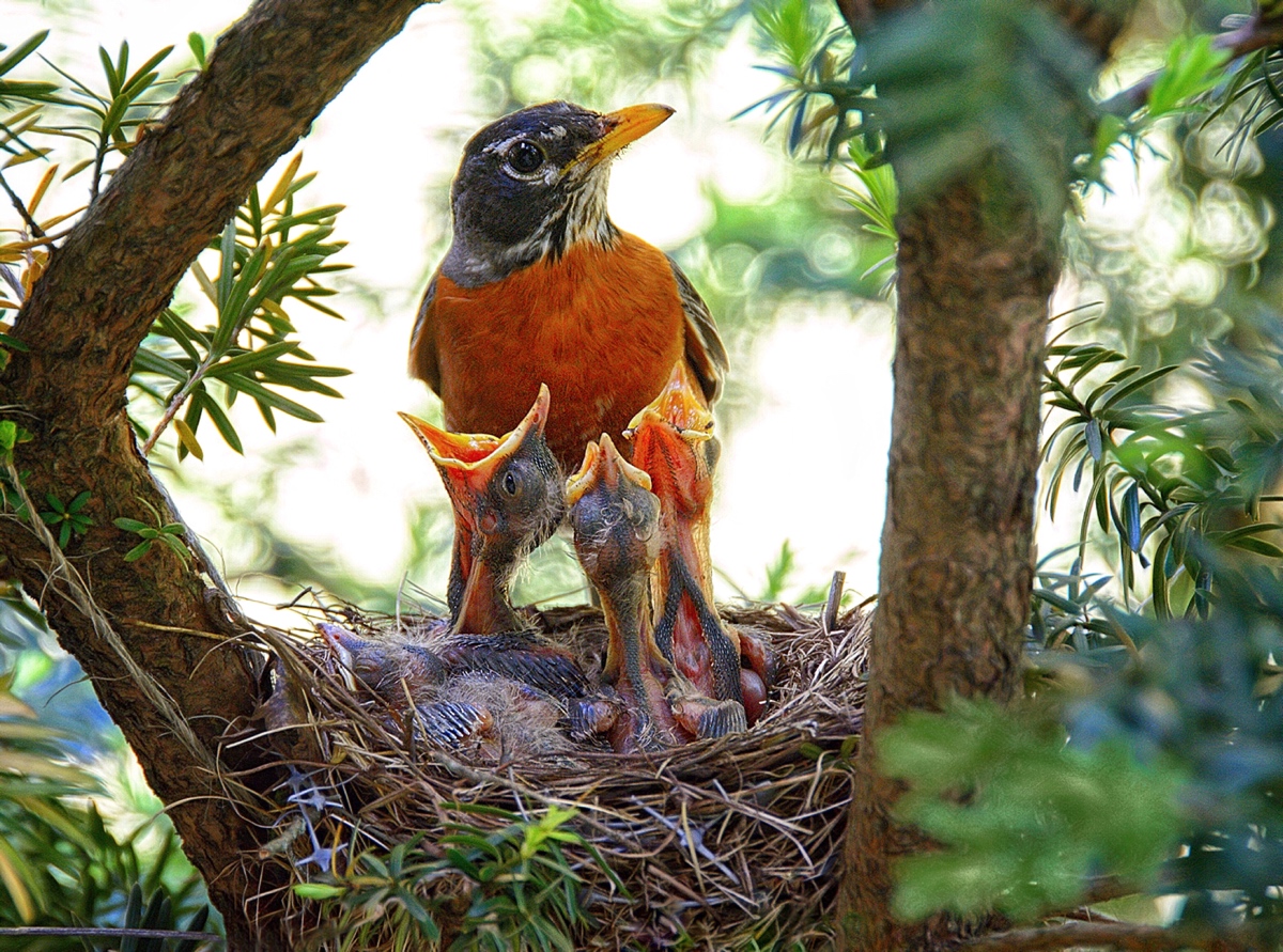 A Song for Their Supper