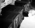 Under the Ugly Bridge