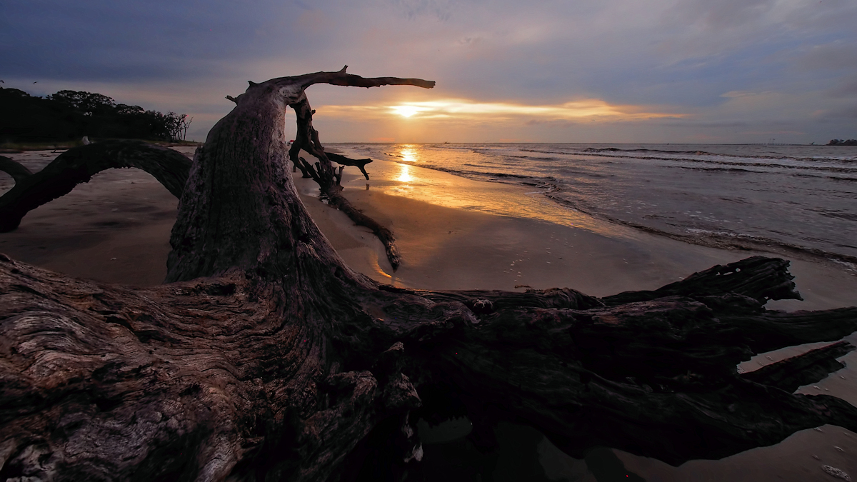 Beached