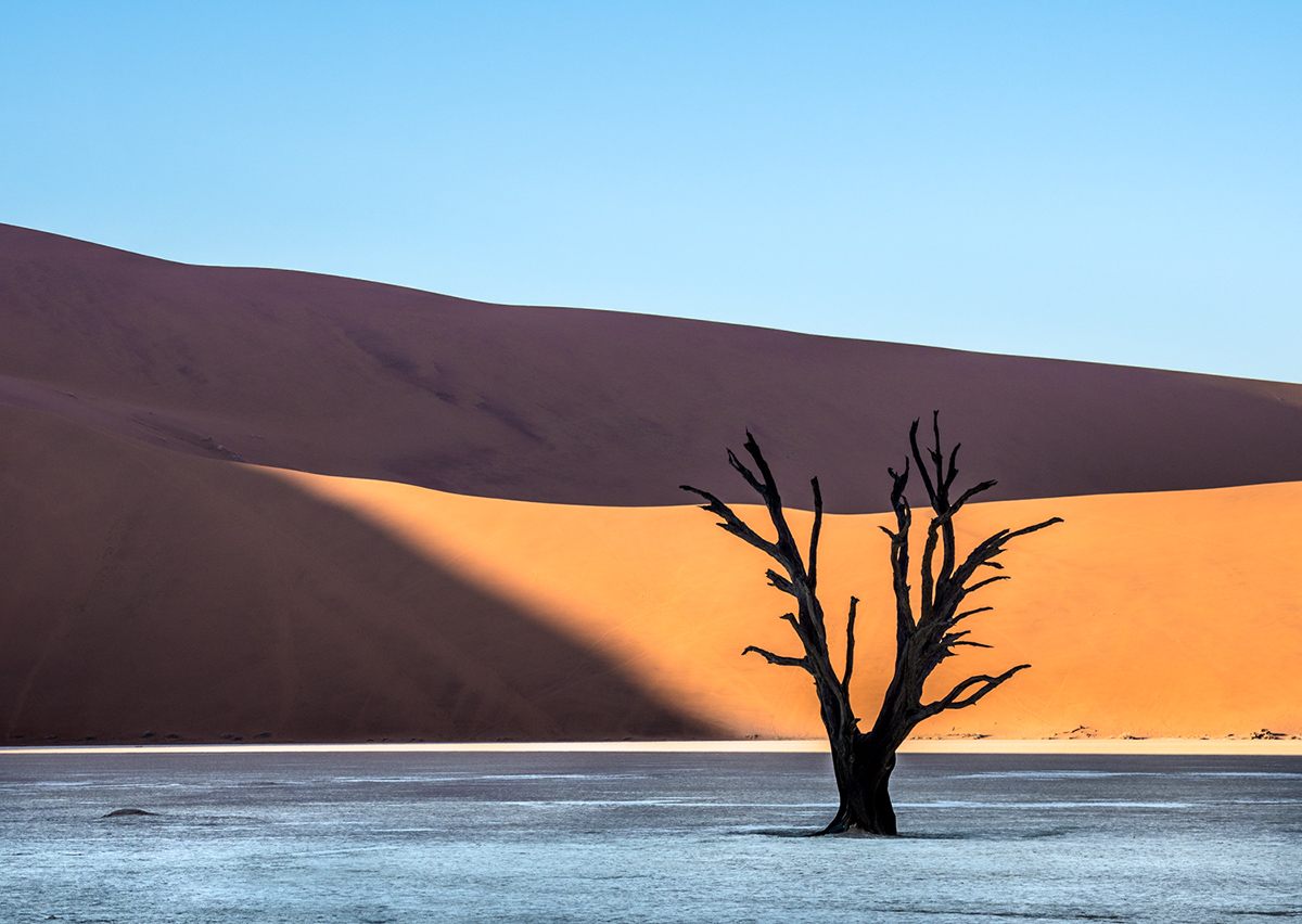 Deadvlei