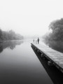 In the morning mist