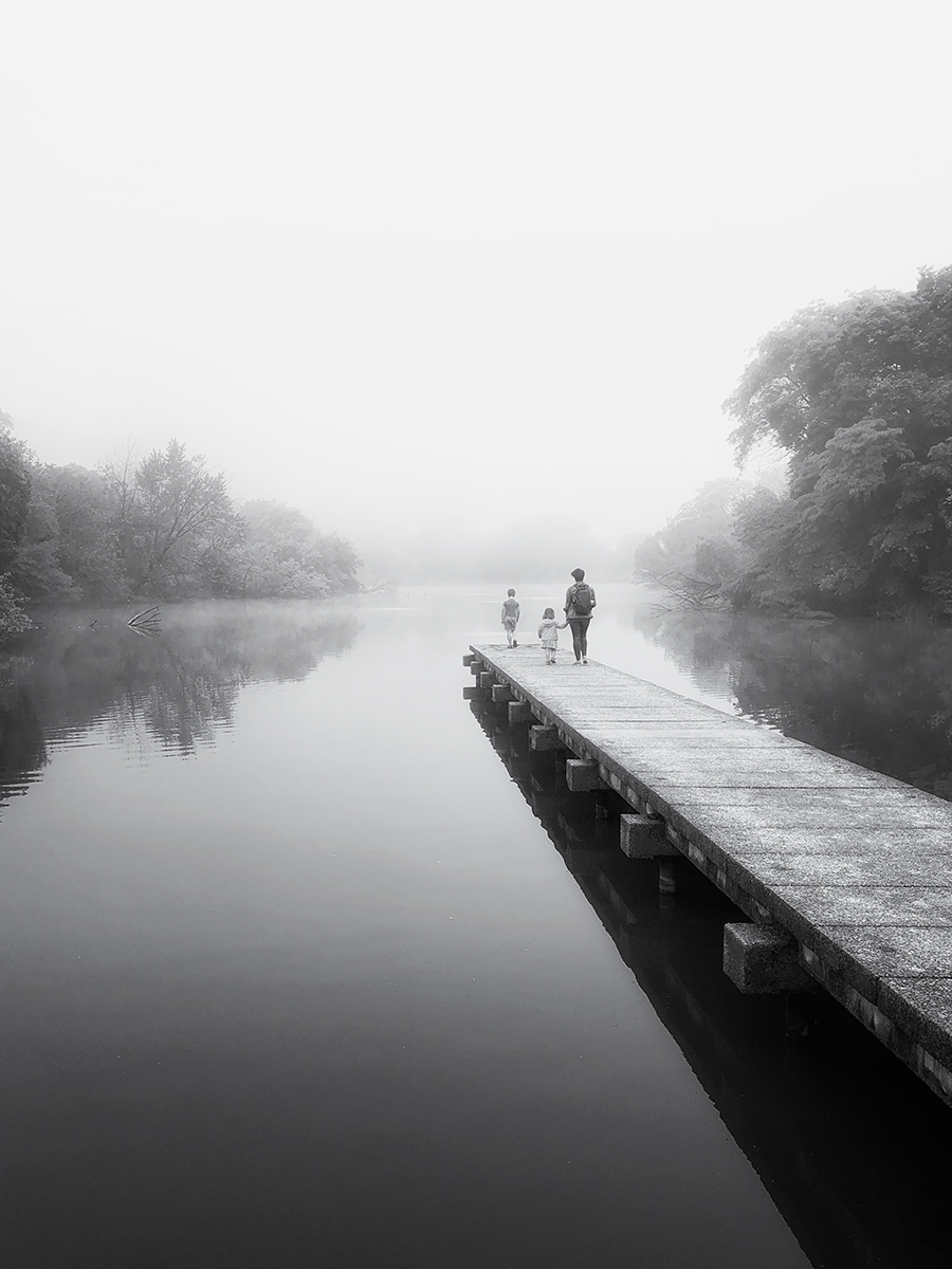 In the morning mist