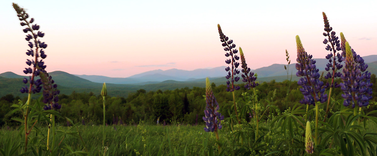 White Mountains, NH