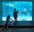 Confined and submerged