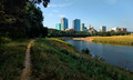 Cowtown