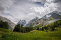 The Alps.