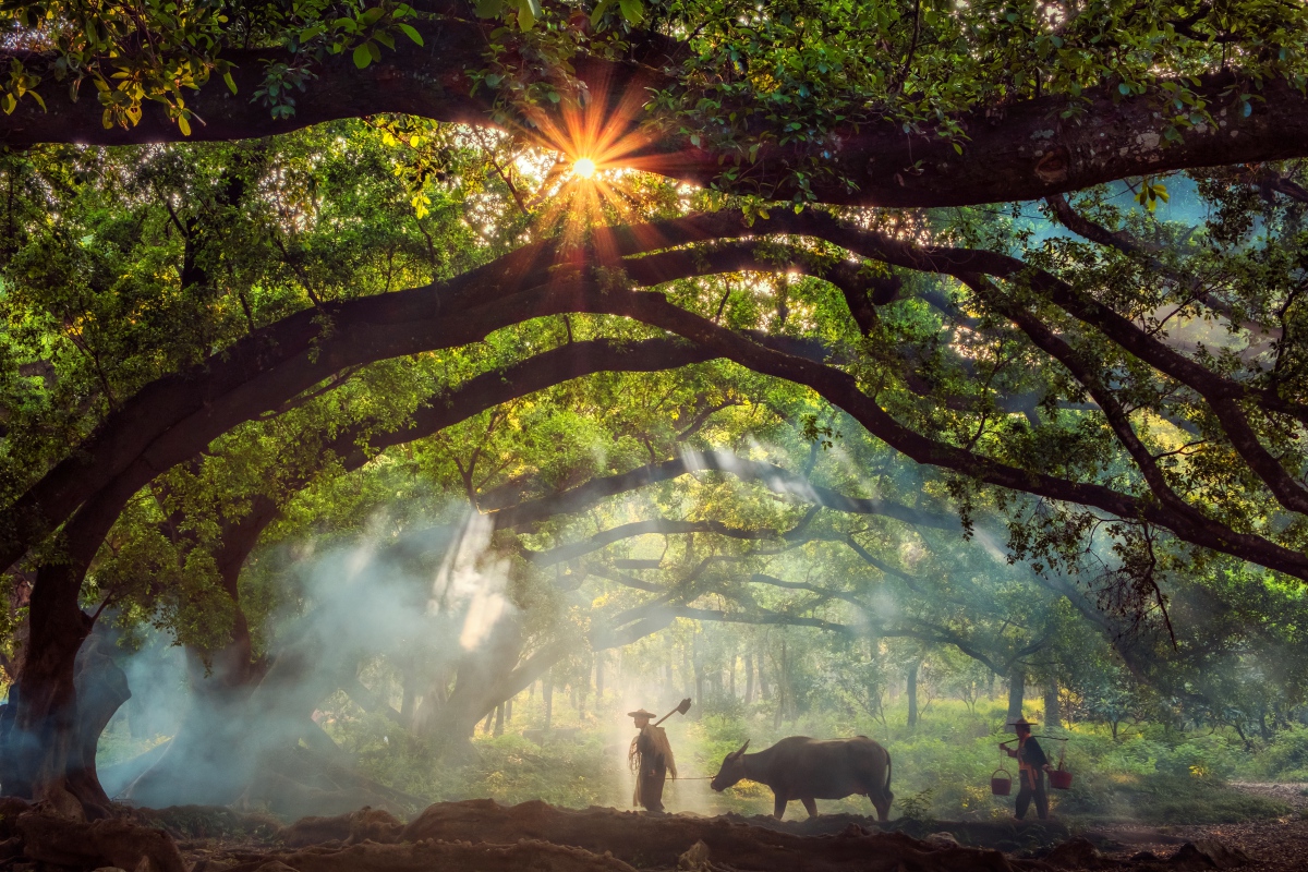 Farming Life