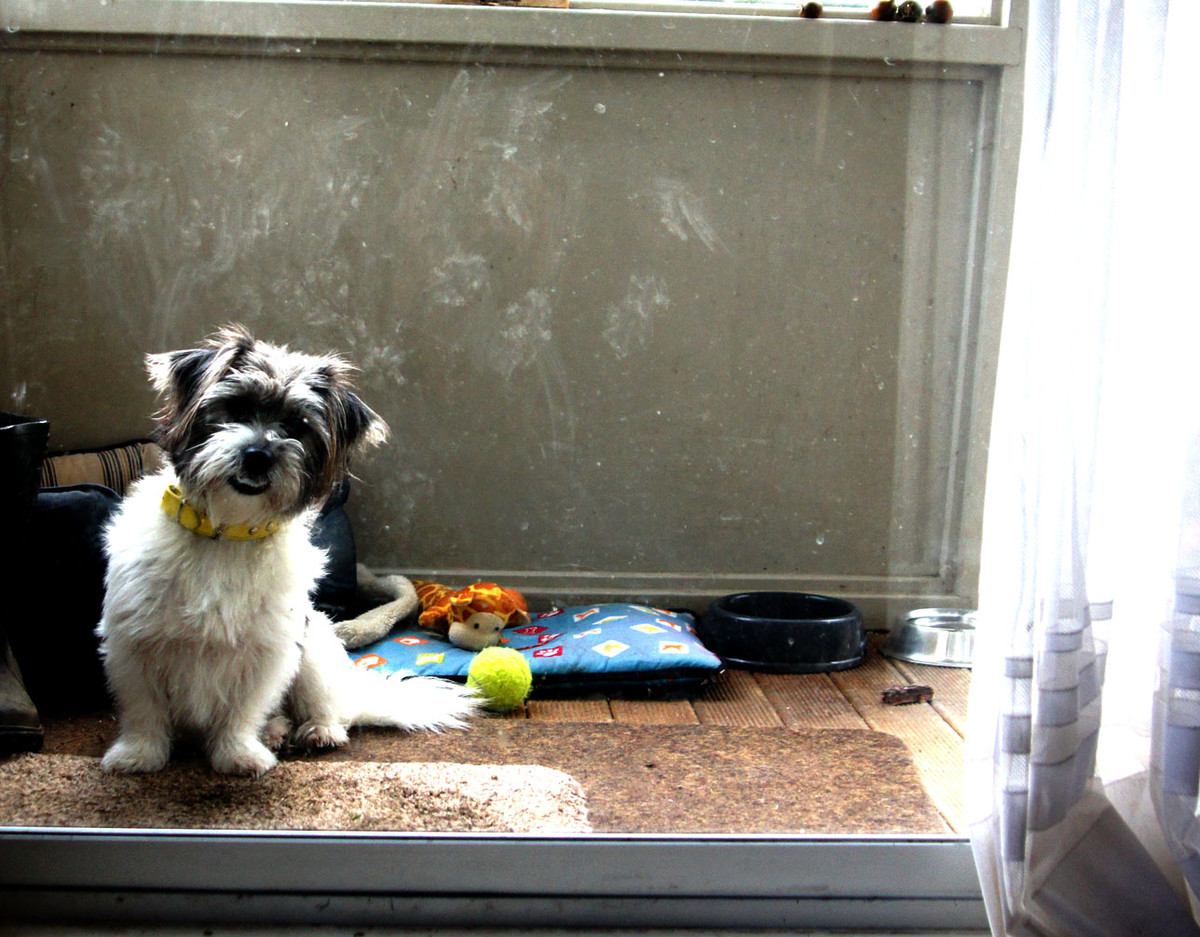 Open the Door Richard, ru  Old enough to remember this song .