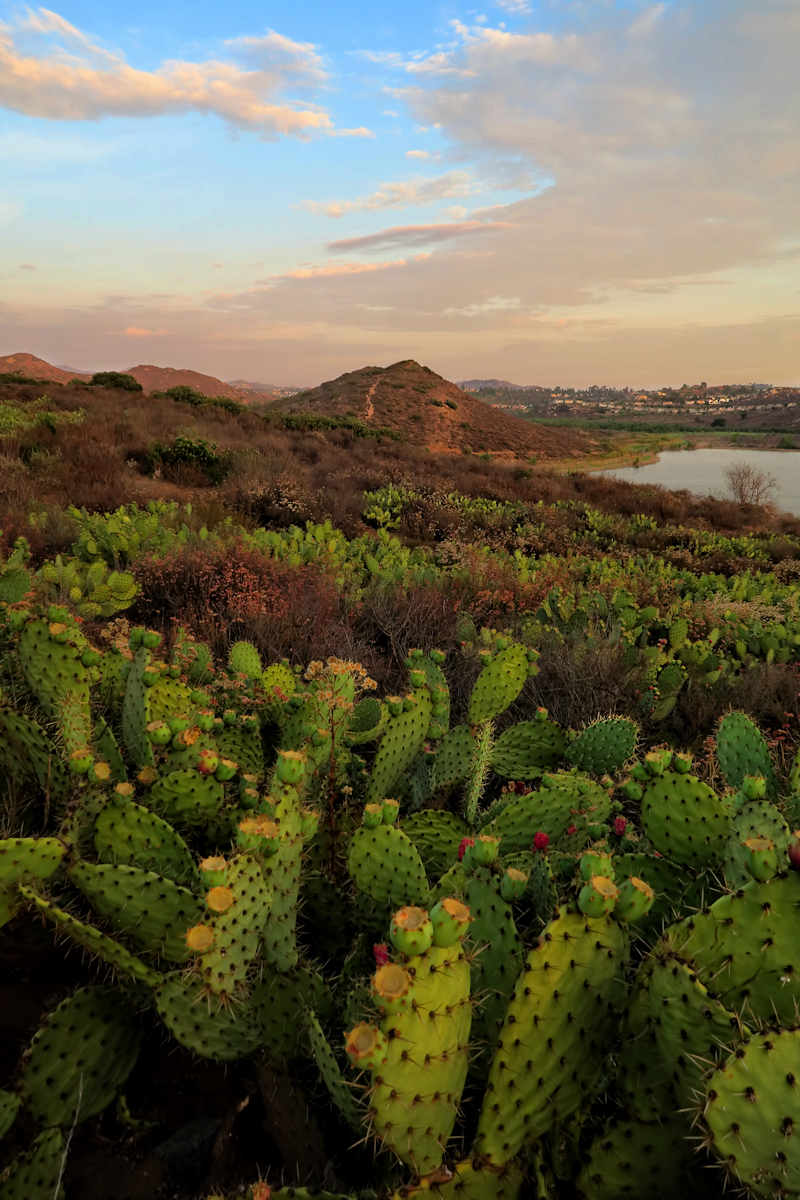 Lake Hodges