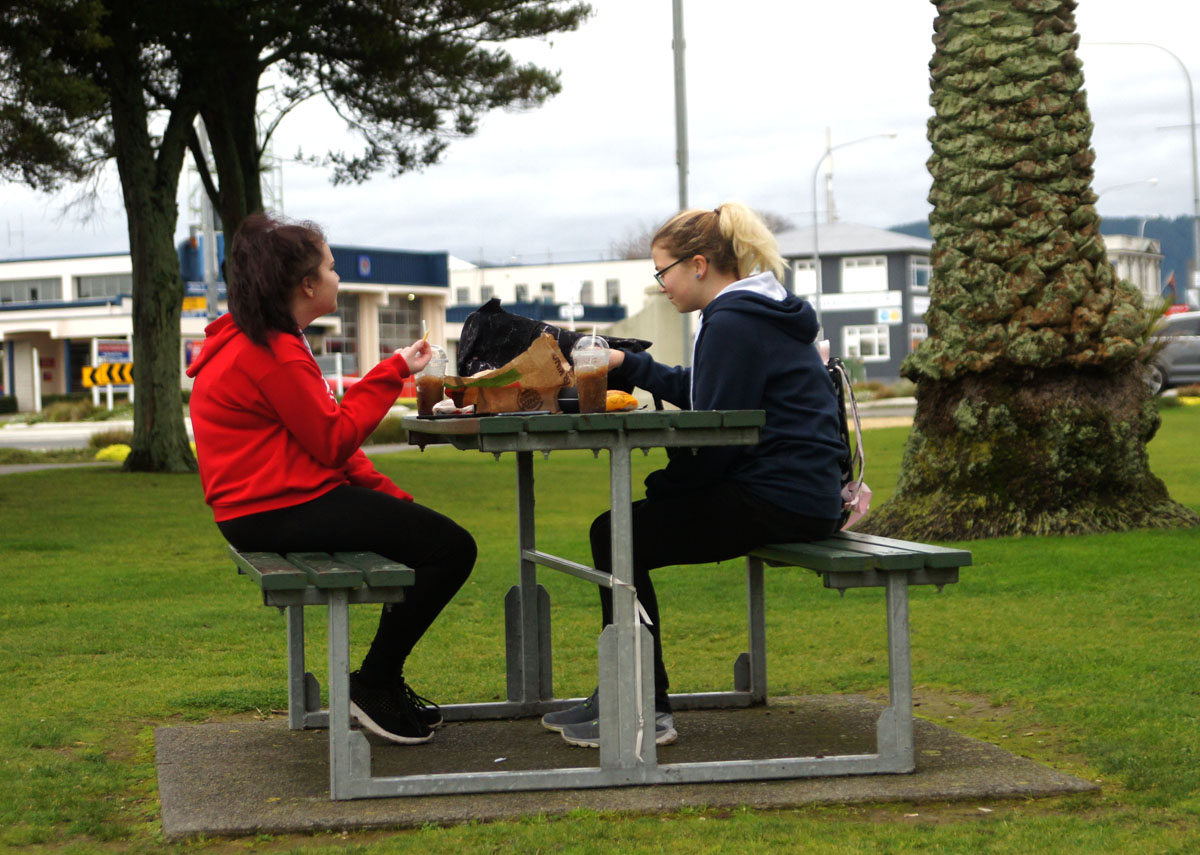 Picnic at the Park