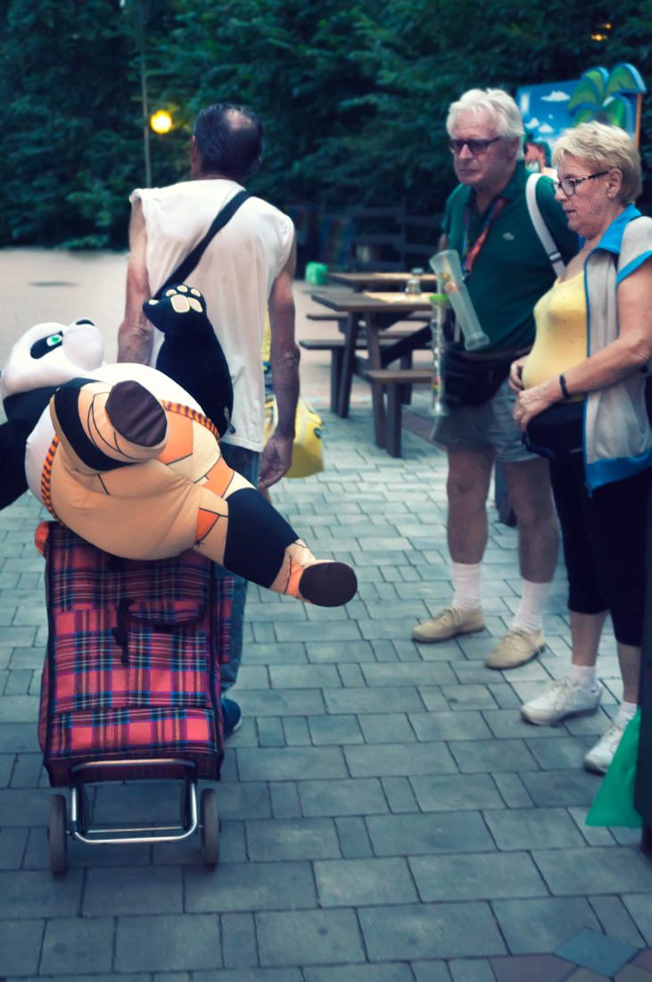  What are those faces? Never seen a panda before?