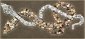 Money Trail