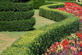 Twisting Hedge